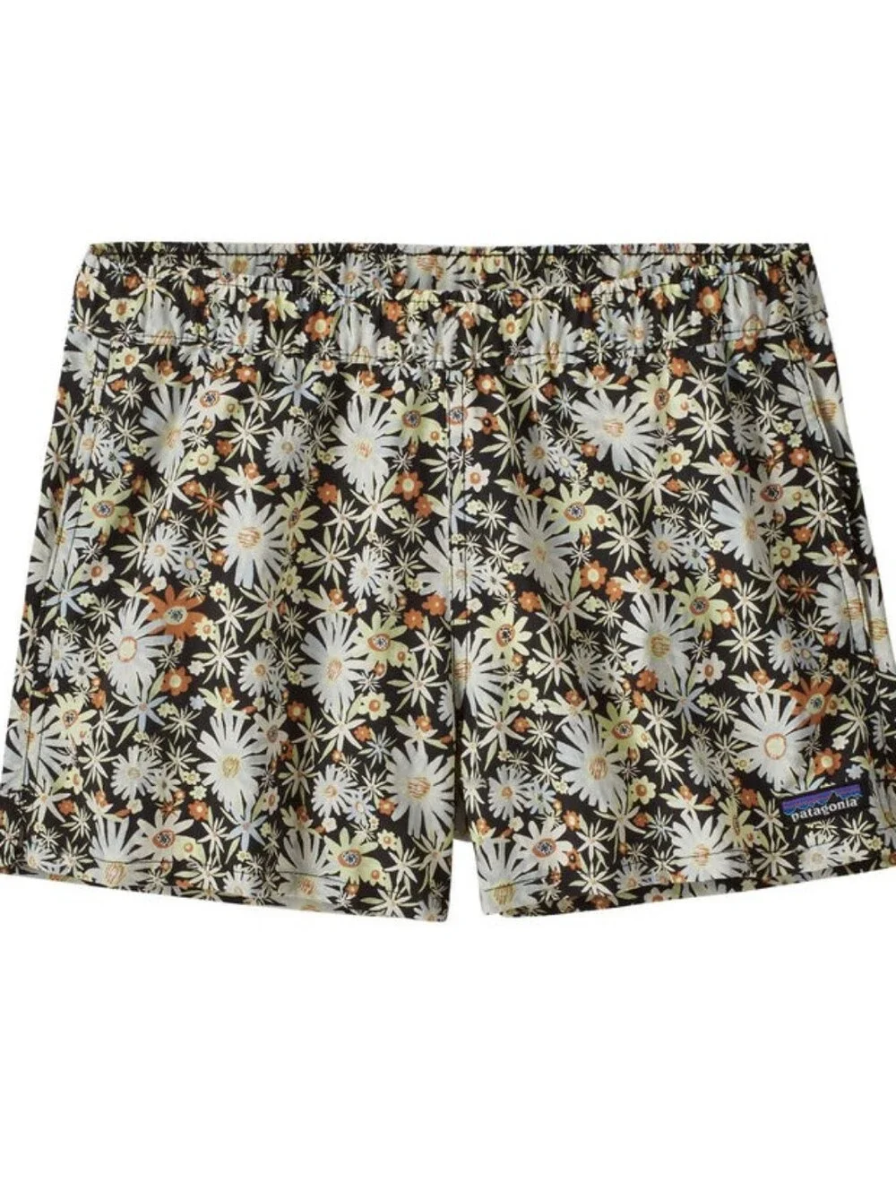Patagonia Women's  2.5